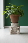 Carved Base — Dark Wall, Plant Setting