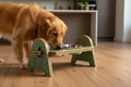 Sage teal arch-leg Rajasthani dog bowl stand with dog eating in warm timber kitchen